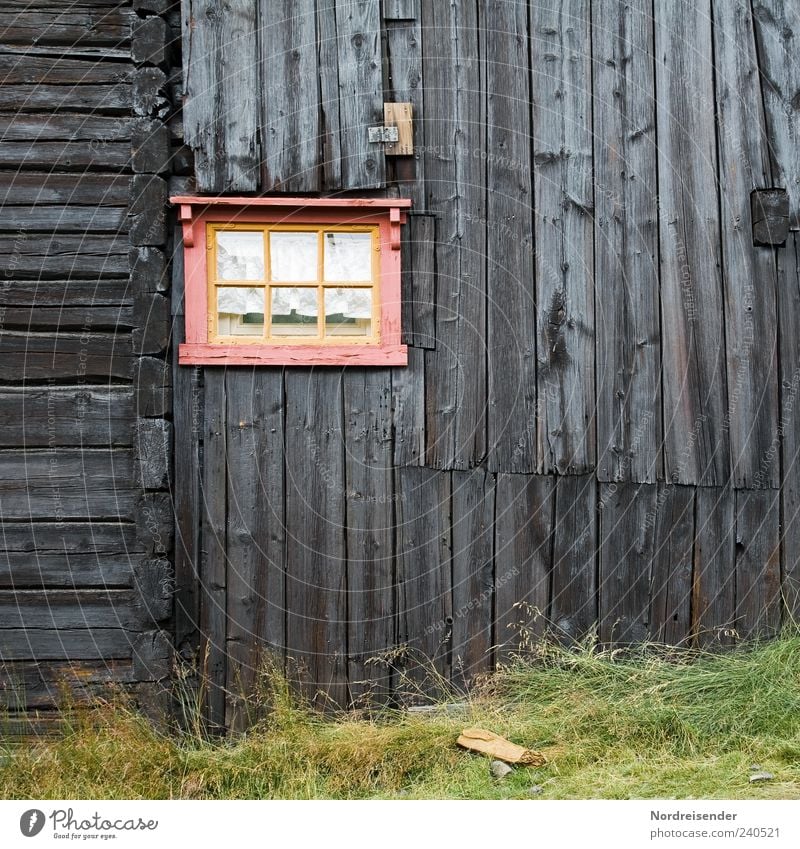 dusky pink Grass House (Residential Structure) Architecture Facade Wood Line Stripe Old Pink Window Wooden facade Wooden house Old fashioned Nostalgia