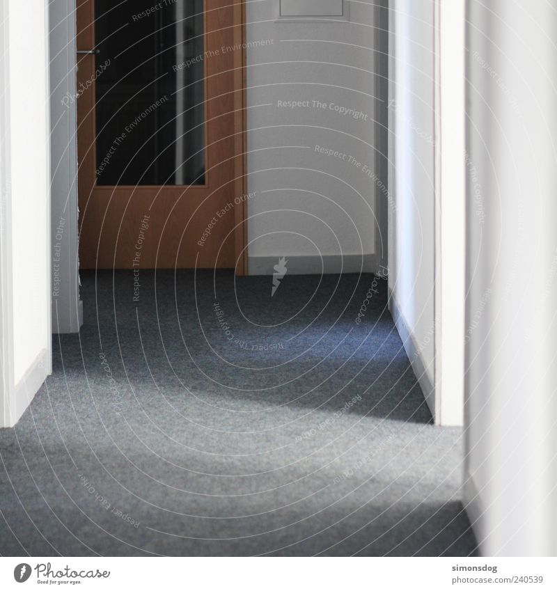 Between door and hinge Door Dark Bright White Hallway Flat (apartment) Corridor Carpet Colour photo Interior shot Deserted Day Artificial light Light Shadow