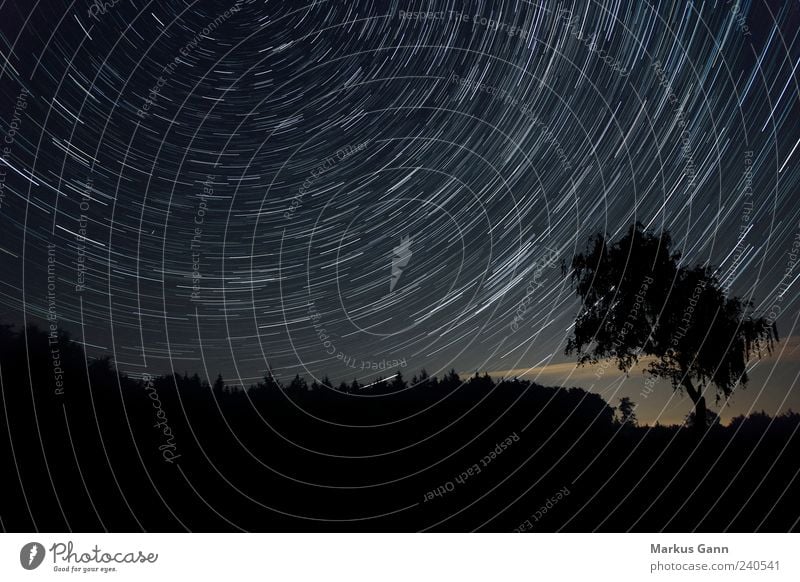 night sky Nature Landscape Sky Night sky Stars Movement Peace Time Astronomy Horizontal Circle Tracks Line Black Tree Forest North earth rotation Universe