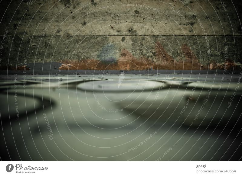 public perception Wall (barrier) Wall (building) Ceiling Concrete Graffiti Line Circle Trashy Colour photo Exterior shot Deserted Shallow depth of field