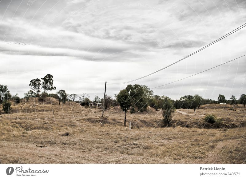 Miles from nowhere Calm Cable Environment Nature Landscape Elements Air Sky Weather Bad weather Tree Hill Gloomy Dry Gray Loneliness Vacation & Travel Whimsical