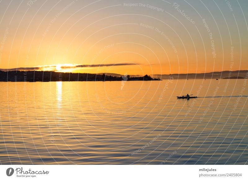 Oslo Fjord Kayaking at sunset Lifestyle Joy Relaxation Vacation & Travel Adventure Sun Beach Ocean Island Sports Nature Landscape Sky Lake Harbour Watercraft