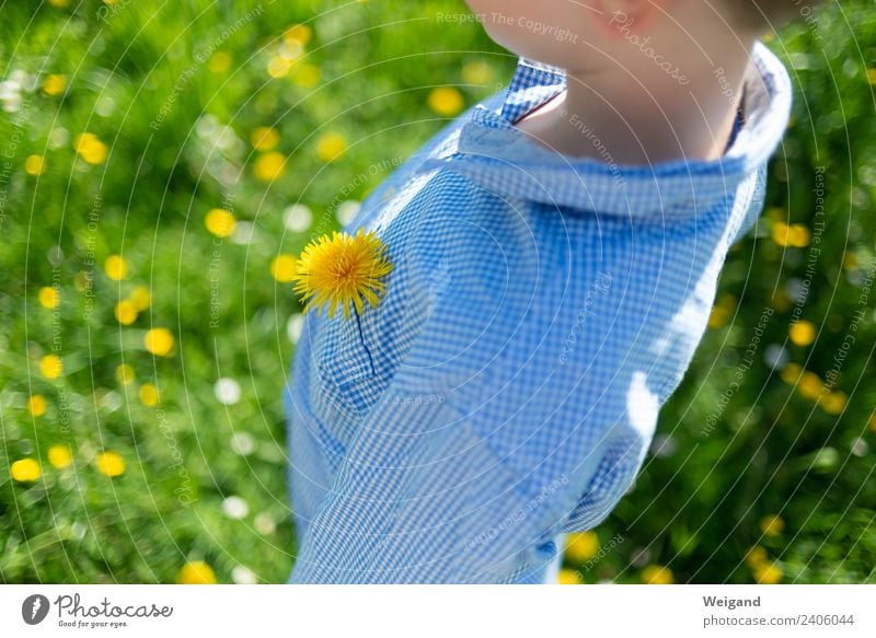 Spring Souvenir Harmonious Kindergarten Child Schoolchild Toddler Girl Boy (child) Infancy 1 Human being 3 - 8 years Dream Friendliness Happiness Fresh Yellow