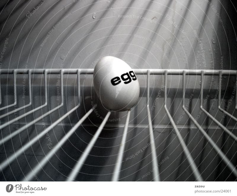 The captured egg Cold Art Sculpture Icebox Eggshell Grating Easter Easter egg Hope Nutrition Penitentiary Close-up