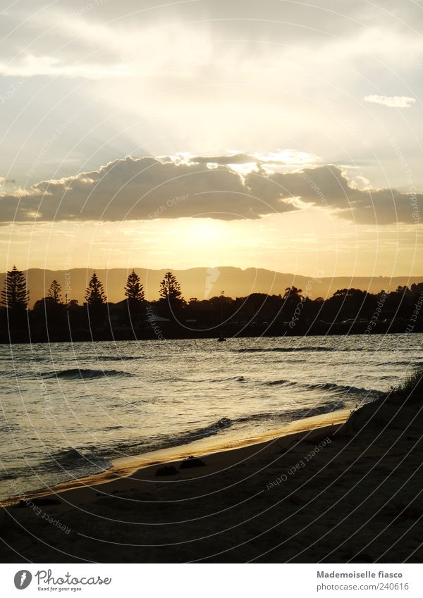 Bay in with evening mood Summer vacation Ocean Water Clouds Night sky Beautiful weather Tree Waves coast Beach Yellow Black Contentment Loneliness Relaxation