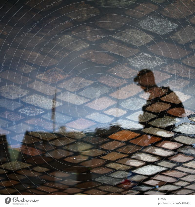 Between heaven and earth Stone Paving stone Cobblestones Puddle Reflection Sky House (Residential Structure) Man Masculine Photographer Take a photo