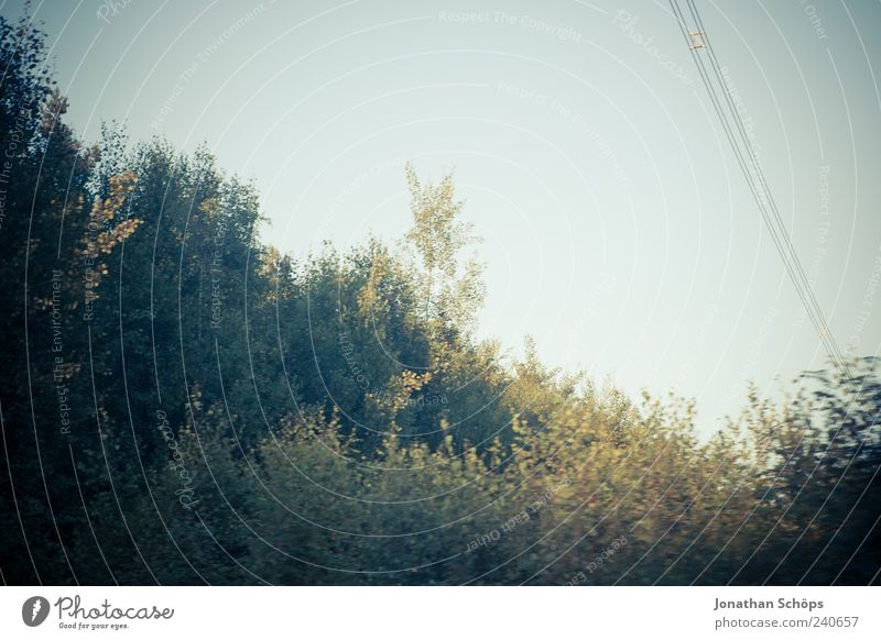 ` Environment Nature Landscape Sky Cloudless sky Summer Weather Beautiful weather Tree Foliage plant Thuringia Blue Green Emotions Moody Motion blur Snapshot