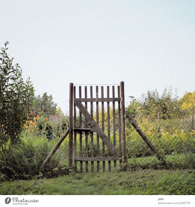 creel Nature Sky Plant Tree Flower Grass Bushes Foliage plant Field Fence Fold Beautiful Colour photo Exterior shot Deserted Copy Space top Neutral Background