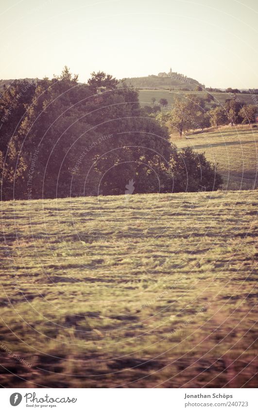 vastness Vacation & Travel Trip Far-off places Freedom Sightseeing Summer Summer vacation Environment Nature Landscape Beautiful weather Thuringia Meadow Field