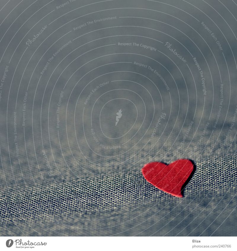 Sweet Sign Heart Sympathy Red Blue Loneliness Cloth Valentine's Day Mother's Day Infatuation Love Colour photo Close-up Detail Macro (Extreme close-up)