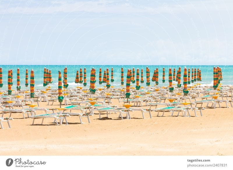 Vieste, Italy - Sunshades at the clean beach of Vieste Apulia Beach Coast Green Horizon Idyll Illuminate Lighting Illumination Landscape Mediterranean sea