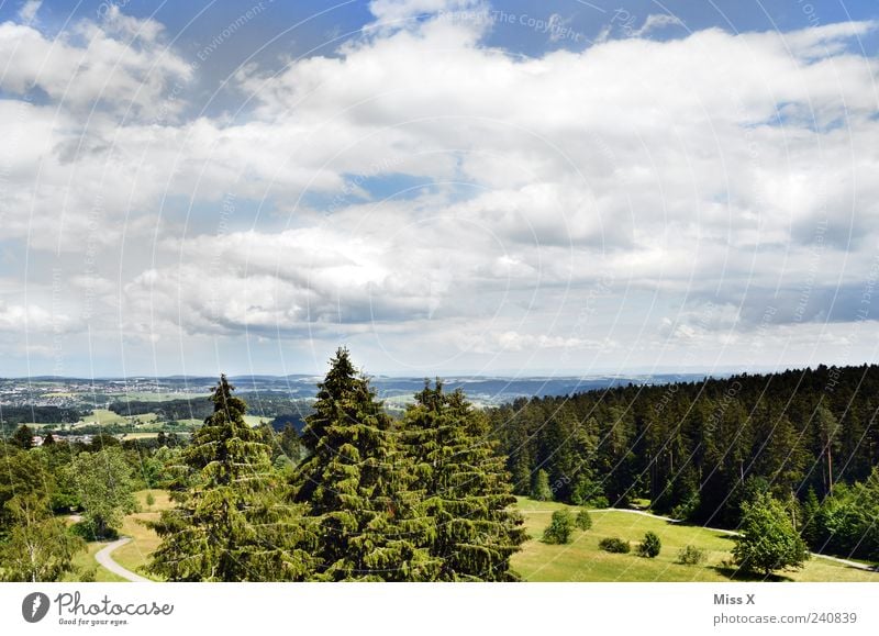 postcard Vacation & Travel Trip Nature Landscape Sky Clouds Summer Weather Beautiful weather Tree Meadow Forest Hill Green Relaxation Freedom Horizon Idyll