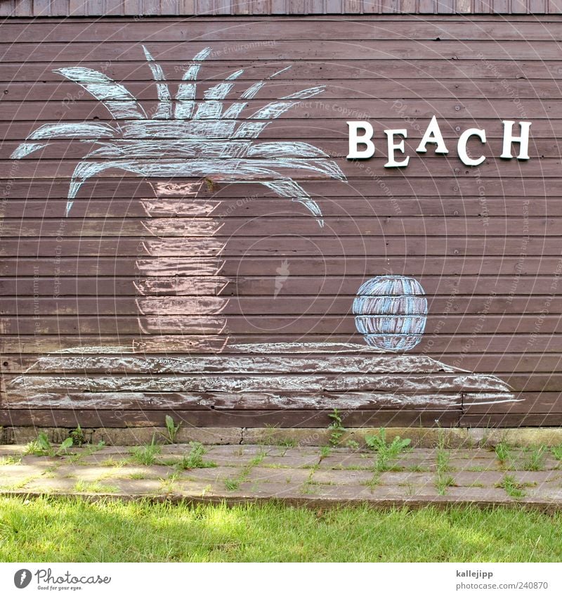 beach boys Lifestyle Joy Happy Vacation & Travel Tourism Far-off places Summer Summer vacation Beach Ocean Island Environment Nature Landscape Plant Tree