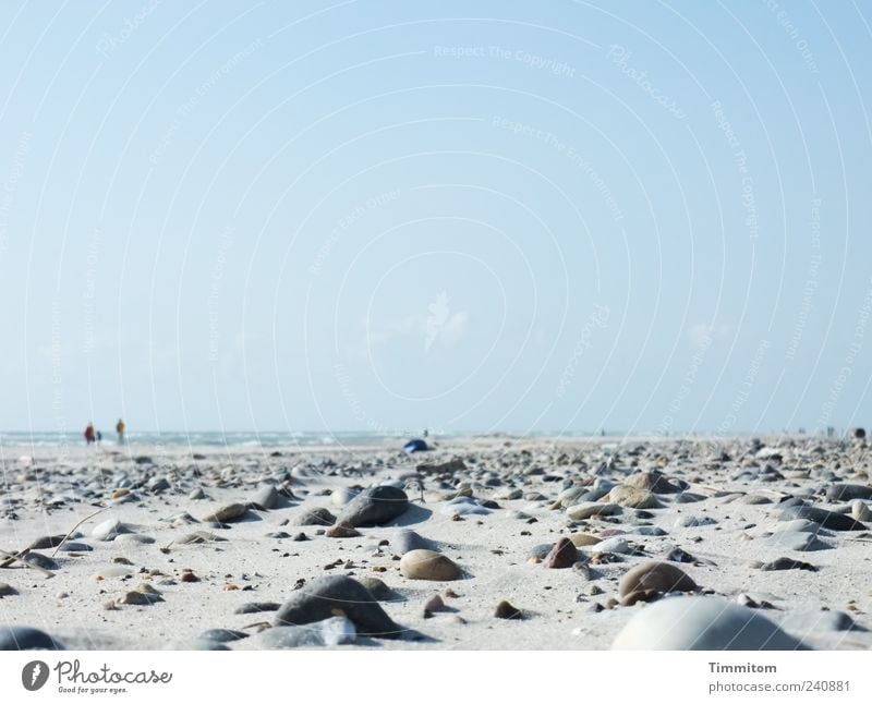 People by the sea Vacation & Travel Summer Beach Ocean Human being Environment Nature Sand Sky Beautiful weather North Sea Denmark Stone Going Looking Large