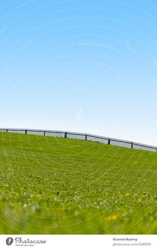 limited horizon Summer Hiking Environment Nature Landscape Sky Cloudless sky Beautiful weather Grass Park Meadow Hill Contentment Colour photo Exterior shot