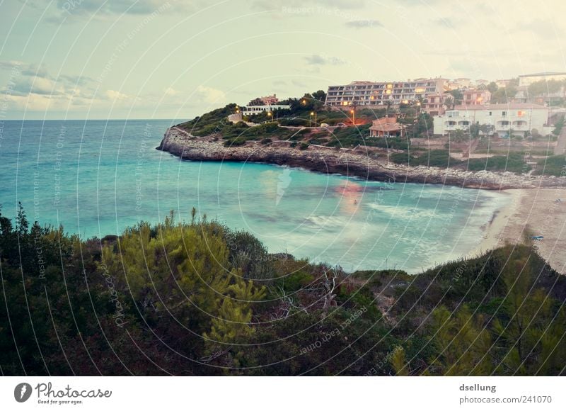 Mallorca XI Landscape Plant Sunrise Sunset Beautiful weather Bushes Waves Coast Bay Ocean Mediterranean sea Island Majorca Cala Mandia Blue Brown Green