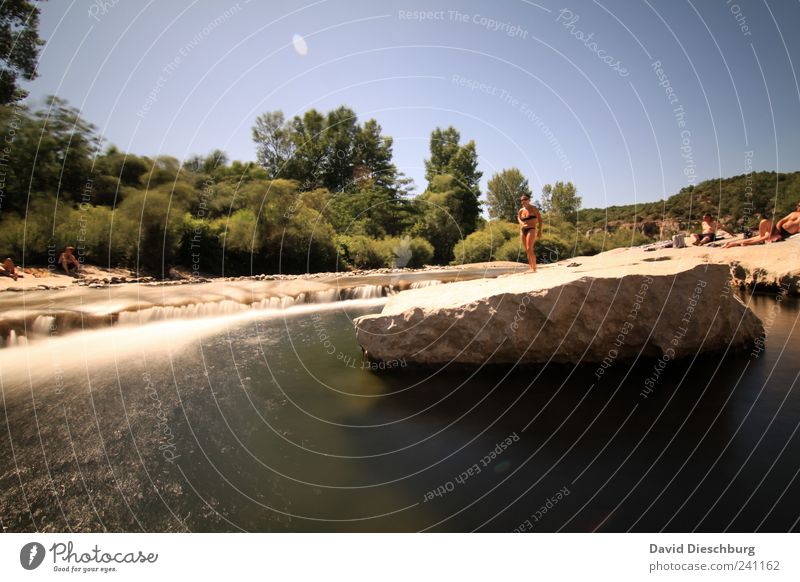 Arm of the Ardeche' Vacation & Travel Freedom Summer vacation Sunbathing Nature Plant Water Cloudless sky Beautiful weather Tree Foliage plant Coast River bank