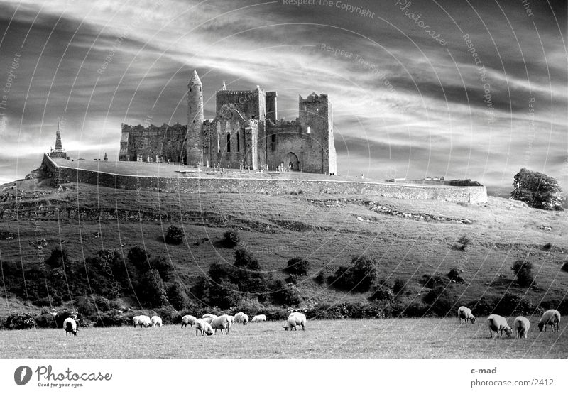 Rock of Cashell in Ireland Clouds Meadow Sheep Grass Moody Manmade structures Hill cashell rock of cashell Mow the lawn Black & white photo Castle Monastery