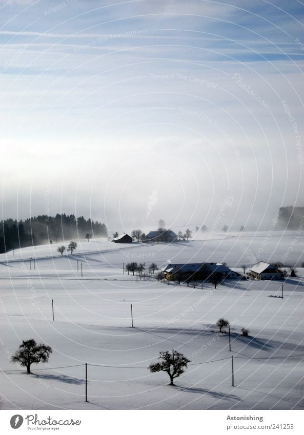 winter landscape Environment Nature Landscape Plant Air Sky Clouds Horizon Winter Weather Bad weather Fog Ice Frost Snow Tree Hill House (Residential Structure)