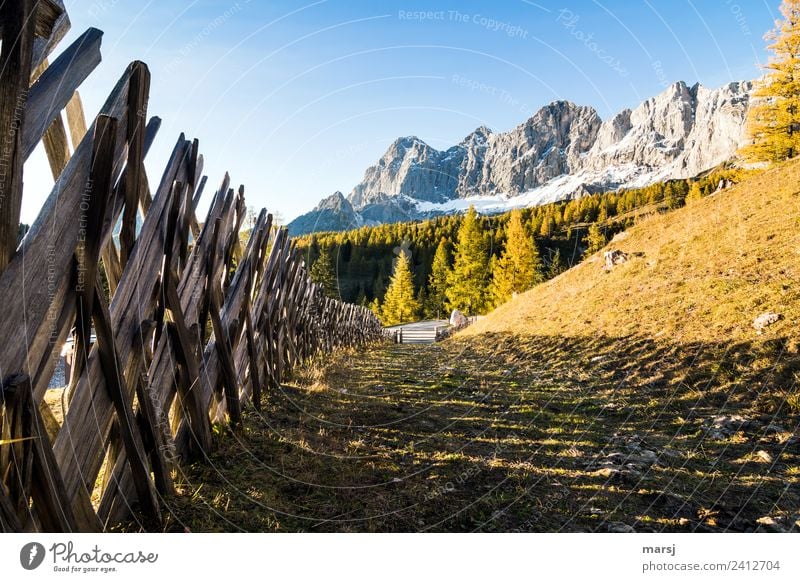 Just along the fence Harmonious Calm Vacation & Travel Tourism Trip Mountain Hiking Nature Autumn Beautiful weather Dachstein Peak Wooden fence Illuminate