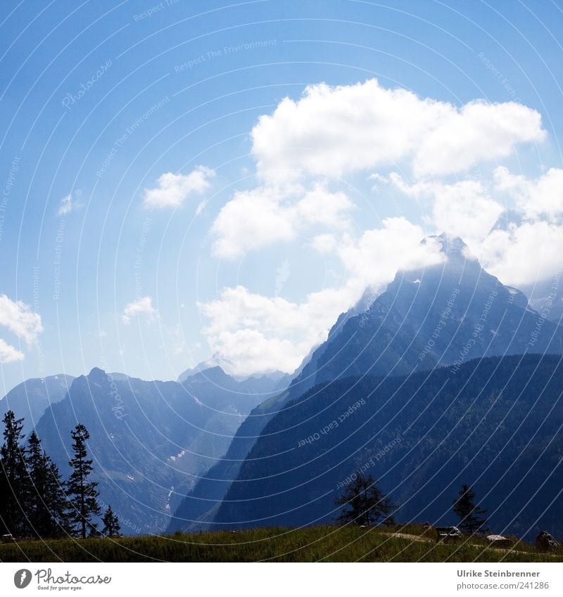 Auffi muas i Nature Landscape Air Sky Clouds Summer Beautiful weather Tree Grass Alps Mountain Watzmann Peak Large Tall Point Mountain range Massive