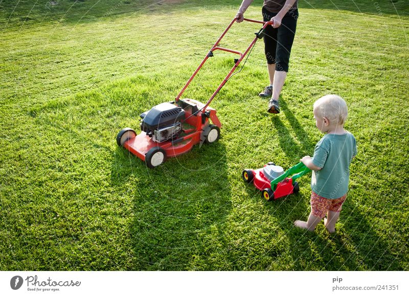 teaching by watching Lawnmower Human being Masculine Child Arm Legs 2 1 - 3 years Toddler Summer Beautiful weather Grass Garden Meadow T-shirt Shorts