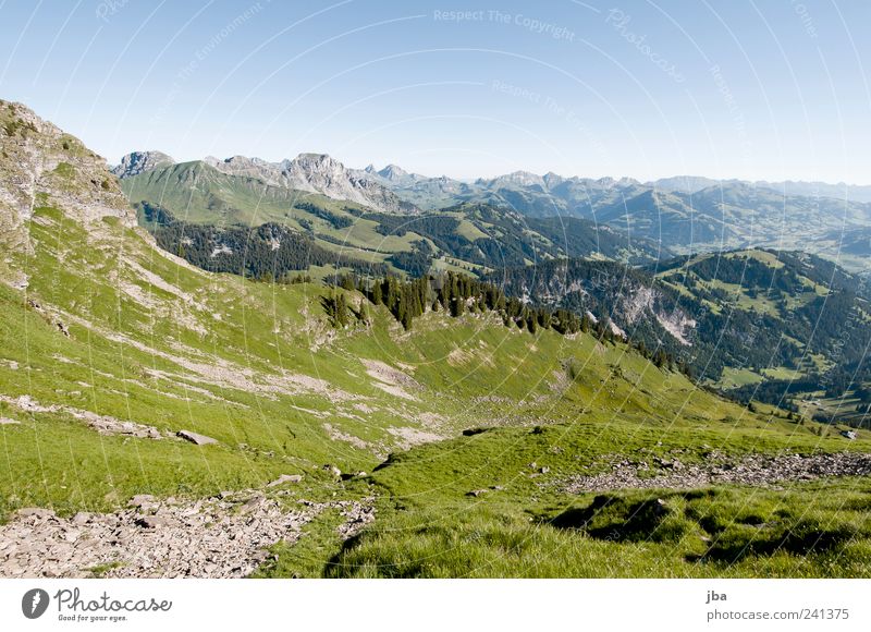 look back Happy Leisure and hobbies Trip Summer Mountain Nature Landscape Elements Air Sky Beautiful weather Grass Alpine pasture Rock Alps Staldenhorn Peak