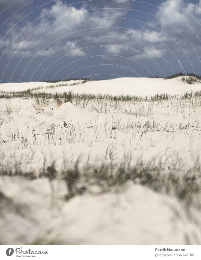 Sand in the viewfinder Landscape Clouds Grass Beach North Sea St. Peter-Ording Discover Relaxation Far-off places Free Infinity Soft Blue Gold Green Esthetic