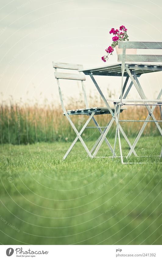 beer garden chairs without beer Chair Table Landscape Sky Summer Grass Garden Meadow Loneliness Idyll 2 Flower Pot plant Pink Green Bad weather Retro Cozy