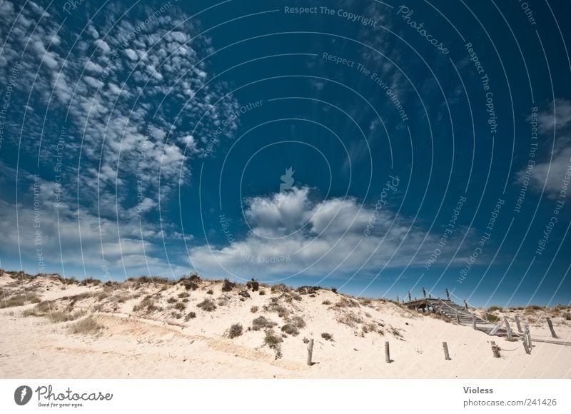 Steps into the land of dreams Nature Landscape Sand Sky Clouds Beach Relaxation Blue Emotions Joy Portugal Algarve gale Vacation & Travel Colour photo