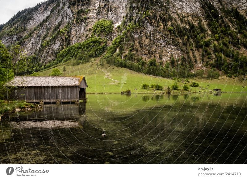 hut magic Vacation & Travel Trip Mountain Nature Landscape Summer Meadow Hill Rock Alps Lakeside Lake Königssee Hut Boathouse Green Adventure Loneliness