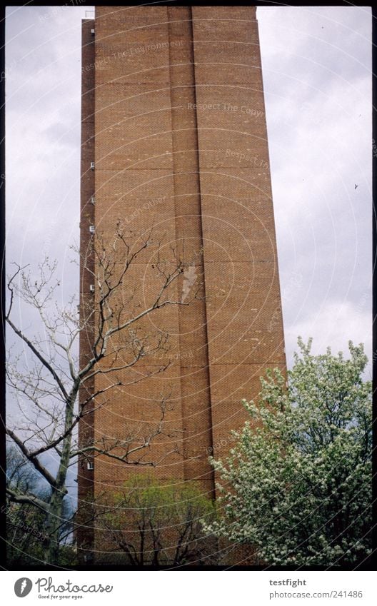 gimme fiction High-rise Facade Natural Brick facade Building Architecture Clouds Tree Colour photo Exterior shot Deserted Worm's-eye view