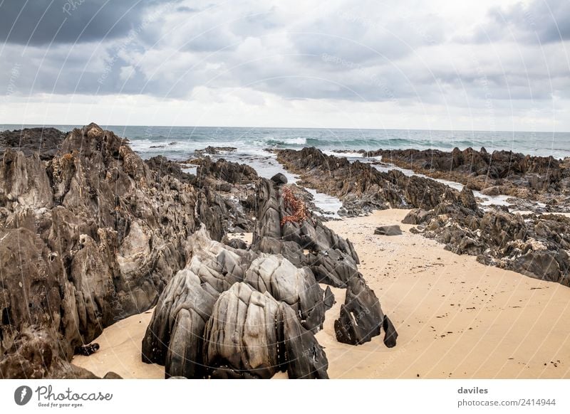 Cape Conran Beach, Australia Freedom Ocean Nature Sand Sky Cloudless sky Clouds Storm clouds Bad weather Rock Waves Coast Pacific Ocean Australia + Oceania