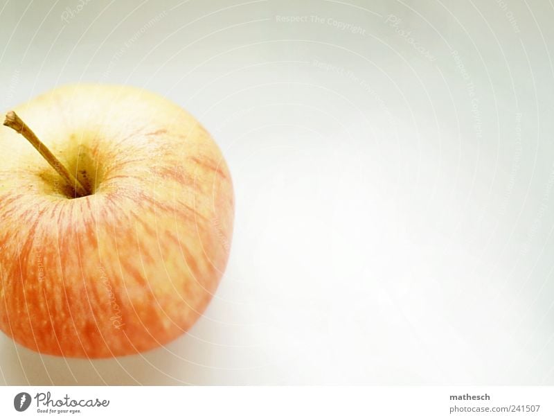 sam sung Food Fruit Apple Organic produce Juicy Sweet Colour photo Interior shot Deserted Copy Space right Neutral Background Day