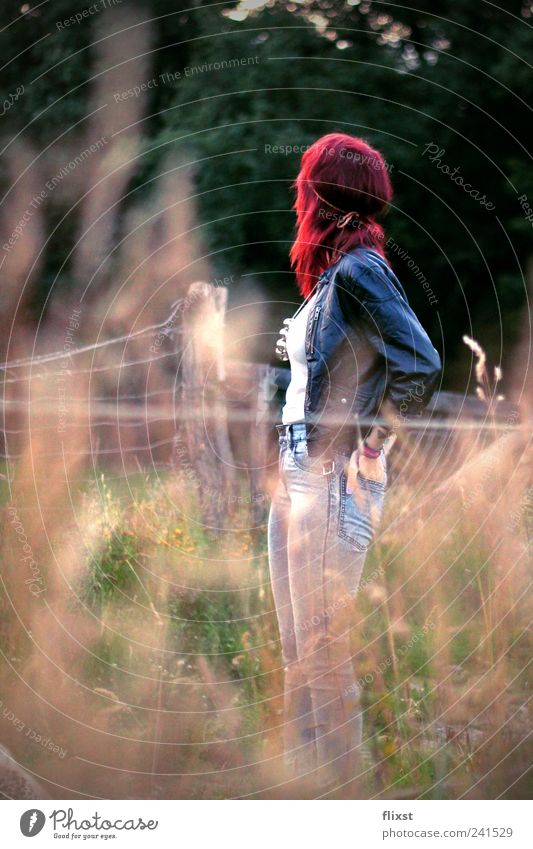 Red in the forest Elegant Feminine Young woman Youth (Young adults) 1 Human being Summer Beautiful weather Contentment Unwavering Hope Meditative Colour photo