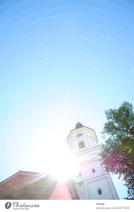 historic Plant Sky Cloudless sky Beautiful weather Tree Munich Germany Bavaria Europe Church Architecture Tower Tourist Attraction Tower clock Stone Wood Gold