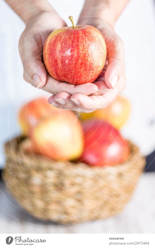 Female hands offering an apple Fruit Apple Lifestyle Happy Beautiful Summer Woman Adults Hand Nature Fresh Bright Natural Green Red White background Basket