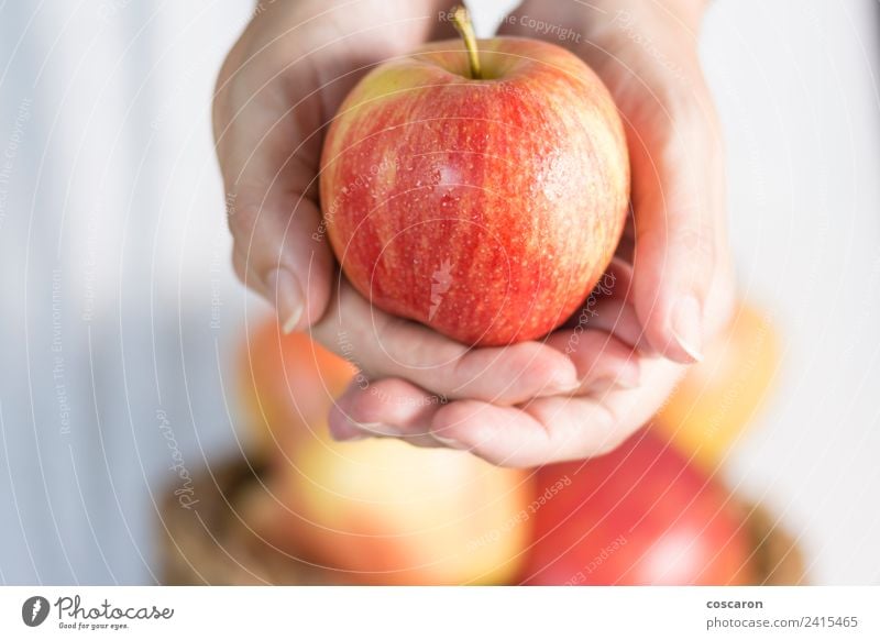 Female hands offering an apple Fruit Apple Lifestyle Happy Beautiful Summer Woman Adults Hand Nature Fresh Bright Natural Green Red White background Basket