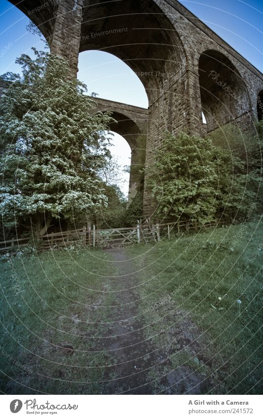 down by the viaducts Environment Nature Landscape Cloudless sky Summer Grass Field Manmade structures Architecture Bridge Bridge construction Old Authentic