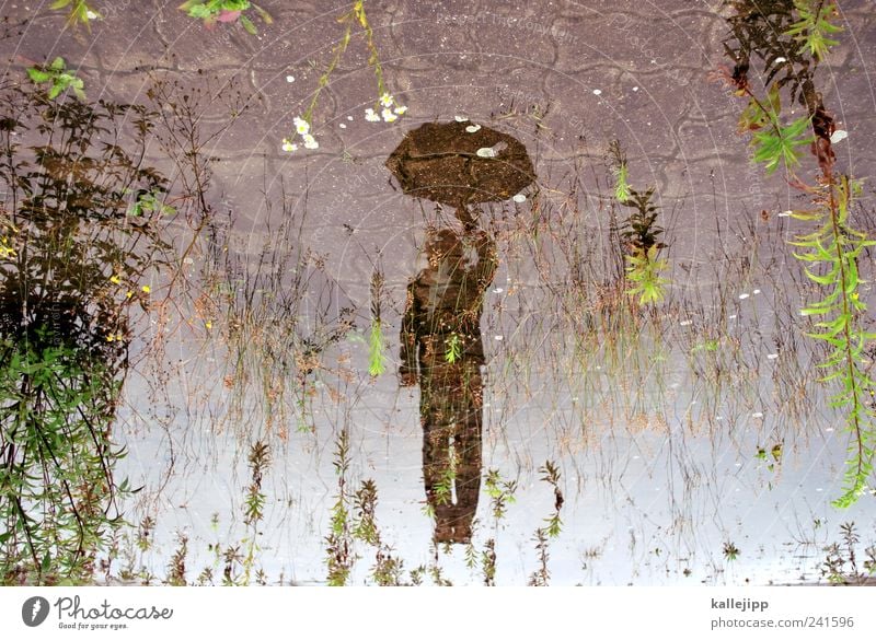 Mary poppins Human being Masculine 1 Environment Nature Landscape Clouds Climate Weather Rain Umbrella Jump Puddle Water Fly Hover Colour photo Multicoloured