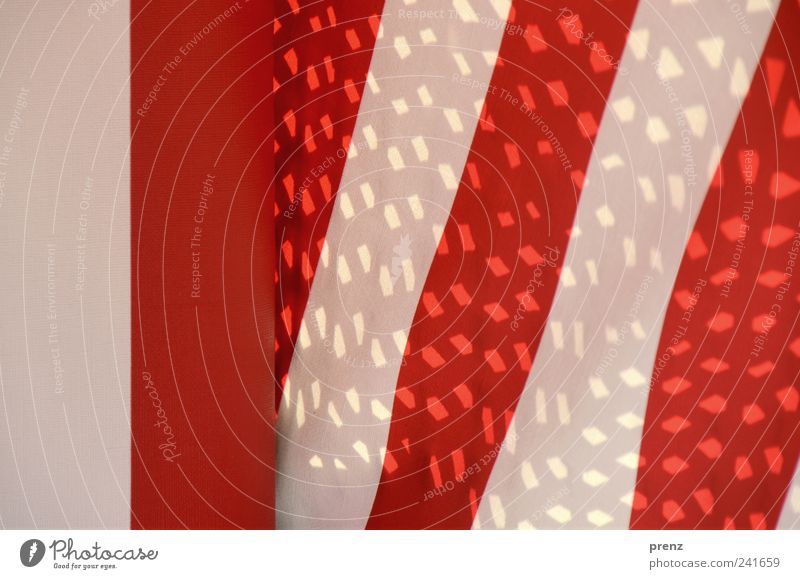 red white Line Stripe Red White Cloth Cloth pattern Pattern Structures and shapes Point of light Colour photo Exterior shot Day Light Shadow Tilt