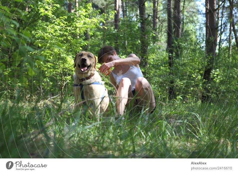 blond Labrador with woman in a clearing Joy Beautiful Relaxation Trip Adventure Young woman Youth (Young adults) 18 - 30 years Adults Nature Plant Summer