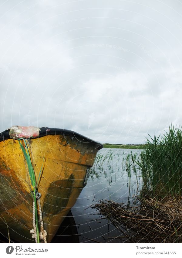 If it were summer now! Environment Nature Landscape Plant Water Sky Clouds Bad weather Lakeside Nymindegab Denmark Rowboat Watercraft Looking Esthetic Yellow