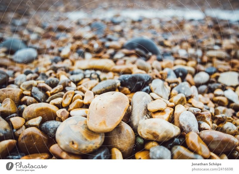 Stone beach in England Environment Nature Landscape Firm Brighton Beach Pebble beach Walk on the beach Wet Cold Round Ocean Detail Attentive Accumulate Find