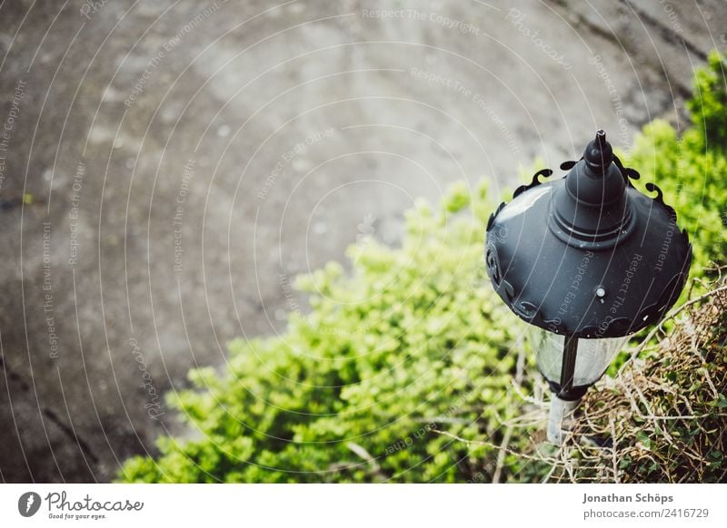 Lantern over hedge Town Esthetic Brighton Lighting Concrete Converse Green Gray Old Background picture England Plant Environmental protection Colour photo