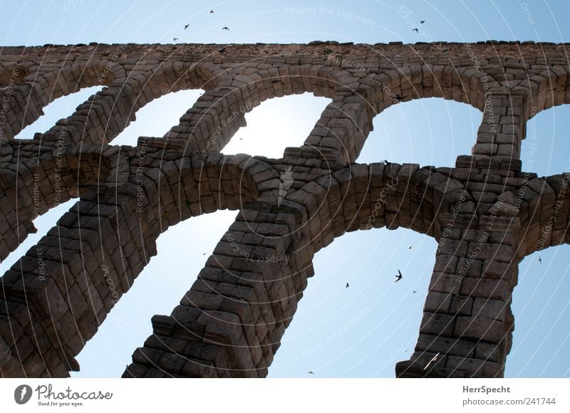 Aqueduct Swallows I Segovia Spain Tourist Attraction Landmark Bird Flock Stone Blue Gray Archway Flying Colour photo Subdued colour Exterior shot Back-light