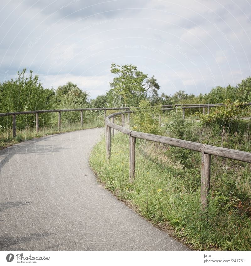 bicycle path Nature Sky Cloudless sky Plant Tree Grass Bushes Foliage plant Wild plant Lanes & trails Blue Gray Green Handrail Curve Colour photo Exterior shot