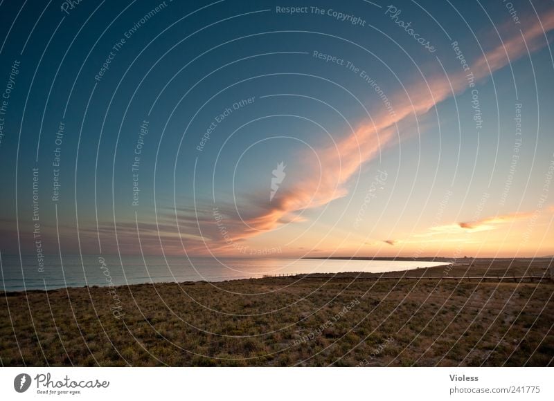 ....end of day Landscape Sand Water Sunrise Sunset Beach Relaxation Moody Joie de vivre (Vitality) Portugal Algarve Vacation & Travel flush of heaven Calm