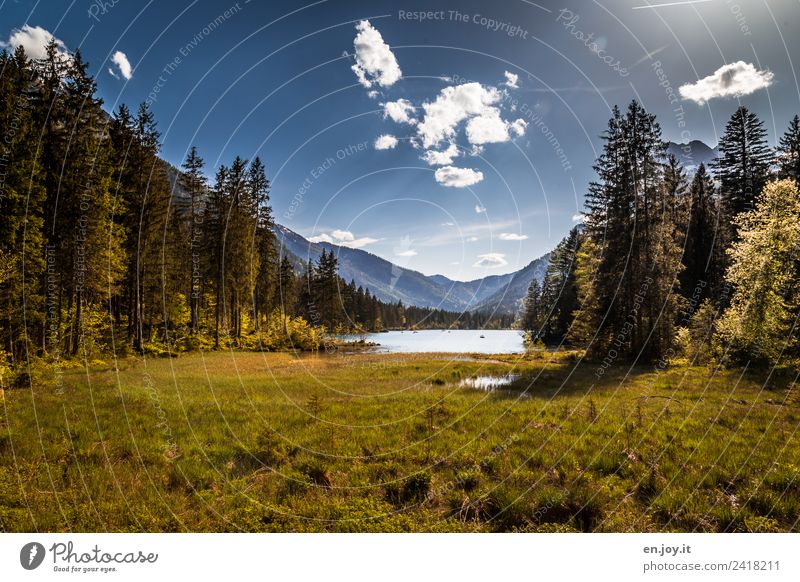 Meadows Vacation & Travel Camping Summer Summer vacation Sun Mountain Environment Nature Landscape Plant Sky Sunlight Beautiful weather Forest Pond Lake Green