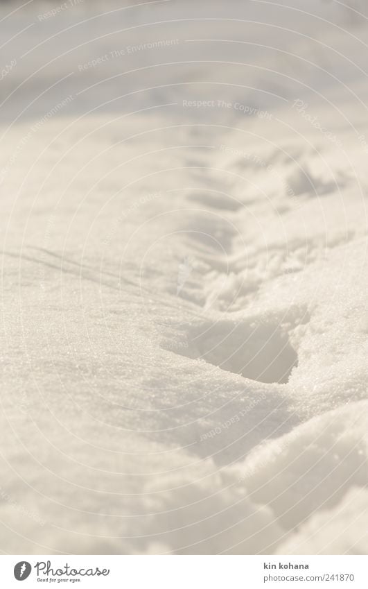 on the way Winter Beautiful weather Snow Garden Park Meadow Field Pedestrian Footprint Going Cold White Hope Longing Loneliness Stride Snow track Colour photo